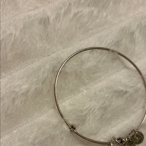 RARE Alex and Ani Walt Disney World Bracelet - Picture 7 of 13